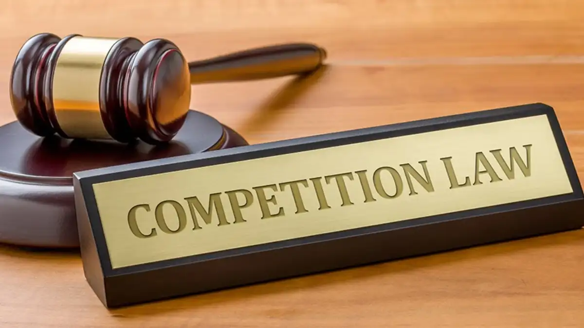 APPRECIABLE ADVERSE EFFECT ON COMPETITION IN INDIA - CONTOURING THE ISSUE