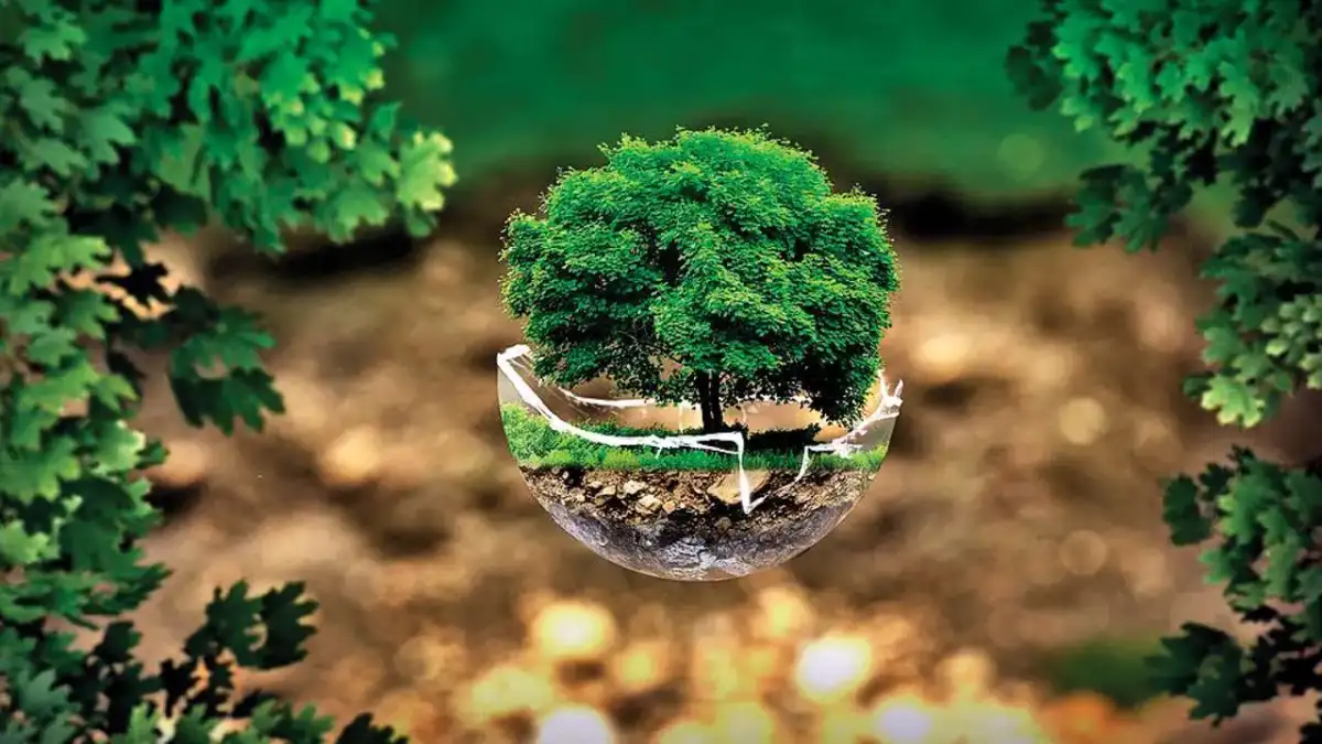 ENVIRONMENT LAW- ROLE OF M.C MEHTA CASE IN PROTECTION OF ENVIRONMENT POLLUTION