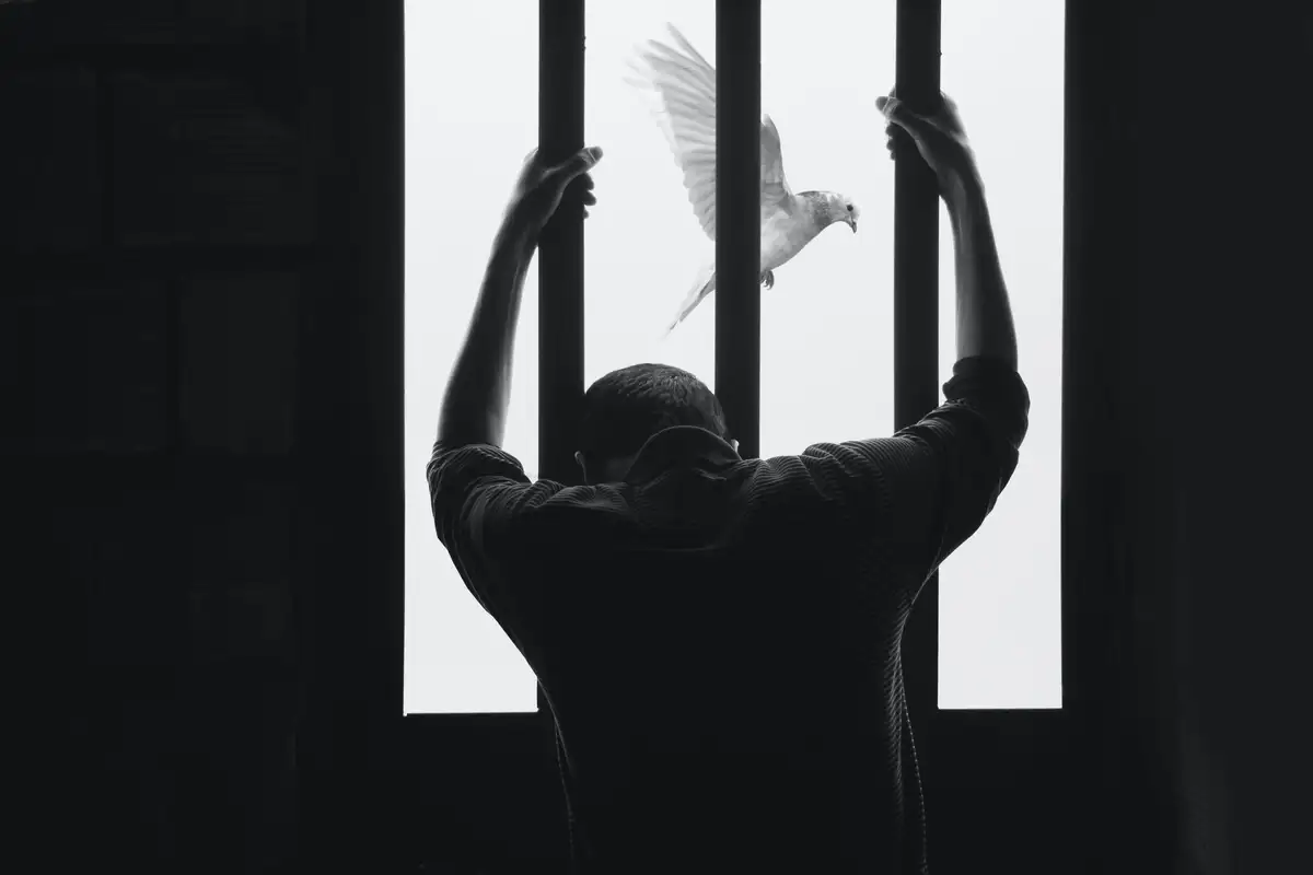 IMPACT OF JUVENILE JUSTICE POLICIES ON MINORITIES