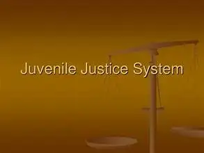 Exploring the Effectiveness of Rehabilitation in the Juvenile Justice System