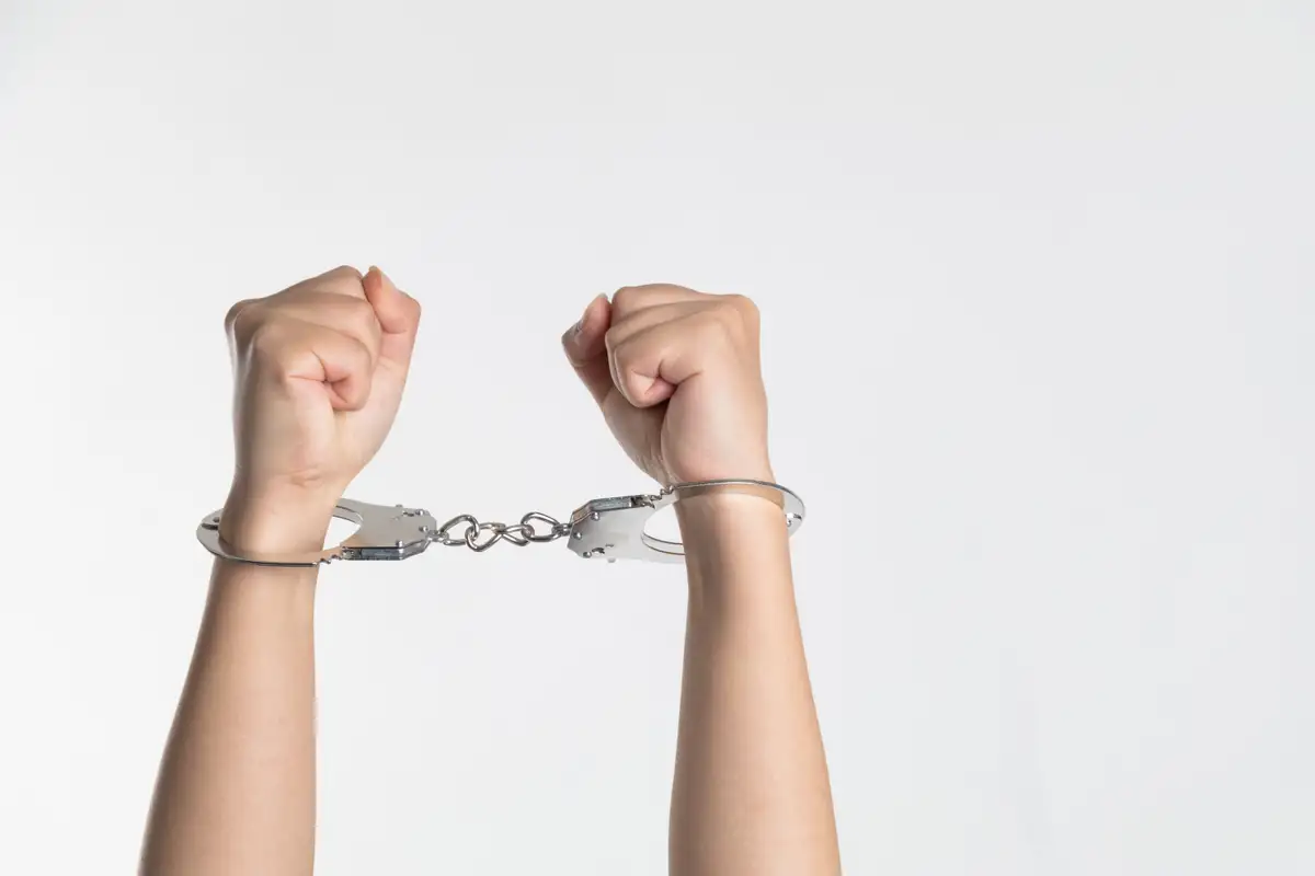 "VALIDITY OF PREVENTIVE DETENTION ORDERS: A JUDICIAL APPRAISAL OF LATEST FACTORS"